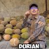 Sebanyak 6.000 durian akan disajikan dalam event Festival Durian 2024 yang akan digelar di Desa Wisata Cibuntu